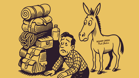 How to Pack for a Mule Pack Trips