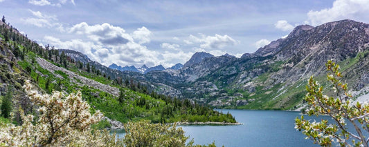 Hungry, Sailor and Moonlight Lake