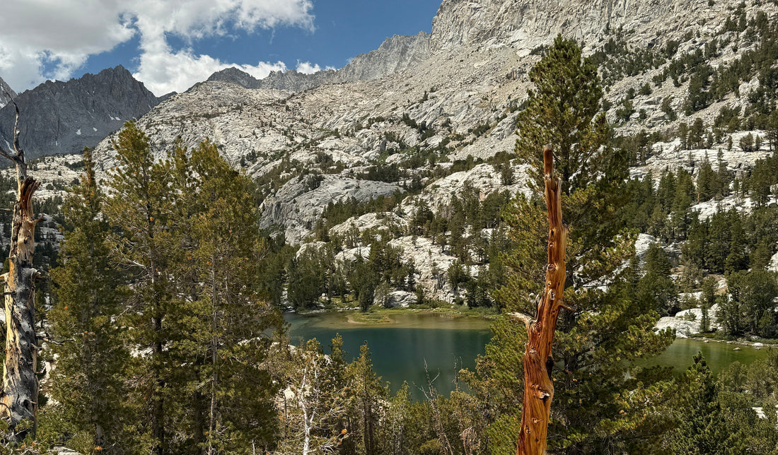 Dingleberry Lake