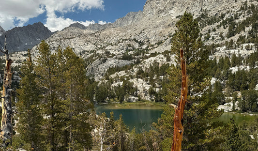 Dingleberry Lake