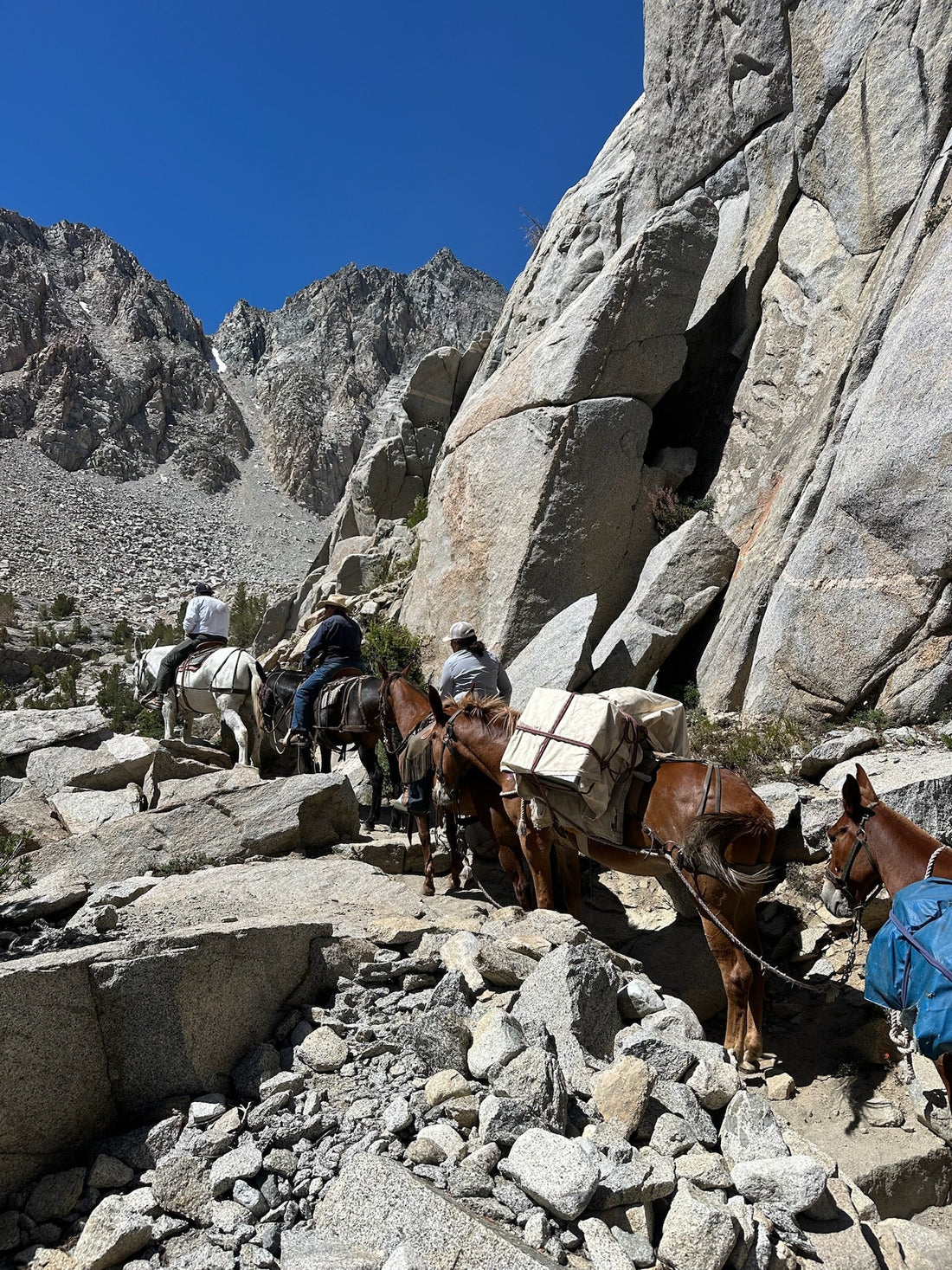 What is a Mule Packing Trip