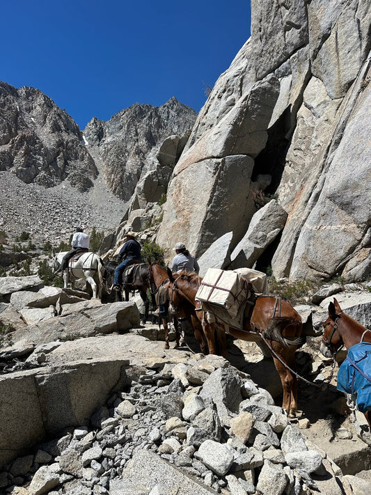 What is a Mule Packing Trip